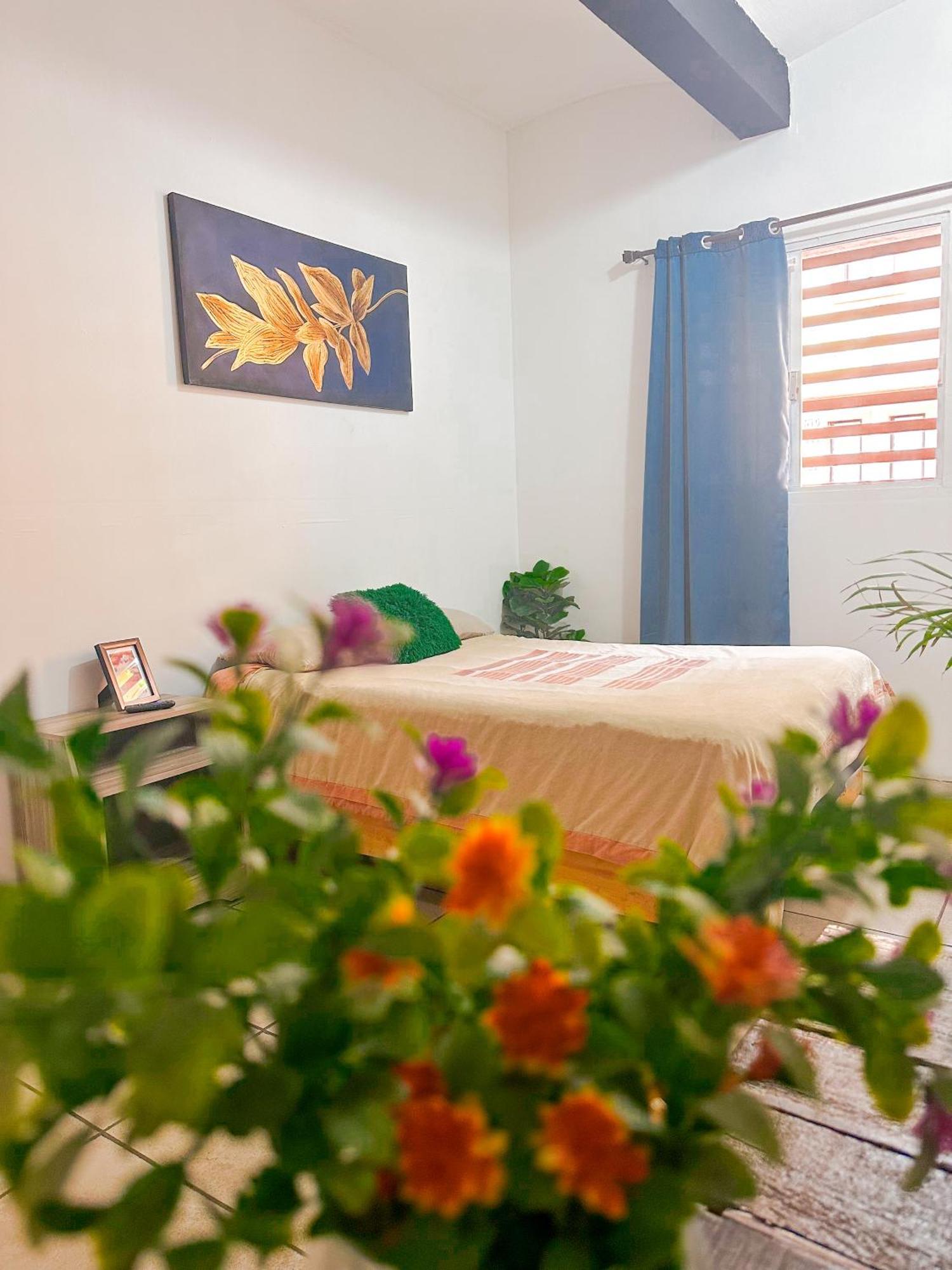 Habitacionez Hvuz * Oaxaca