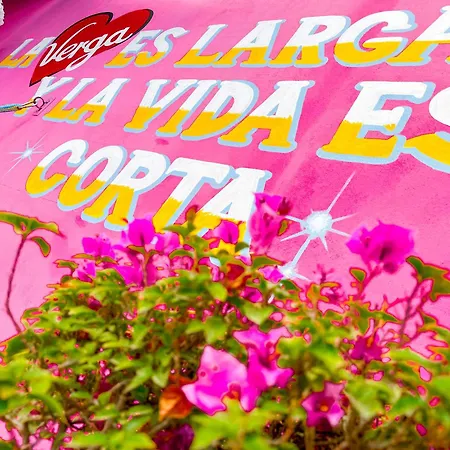 Habitacionez Hvuz Oaxaca Exterior foto